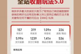 新手小白开网店适合淘宝还是拼多多 新手小白开网店适合淘宝还是拼多多呢