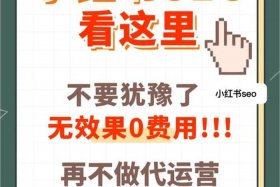 小红书代运营合作协议，小红书代运营合同