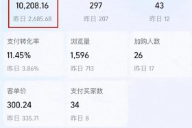 开淘宝网店一年的收入（开淘宝网店一年的收入是多少）