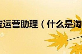 淘宝运营助理日常工作，淘宝运营助理有前途吗