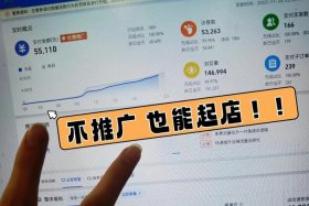 怎么开网店不用交钱的那种？；如何不花钱开网店