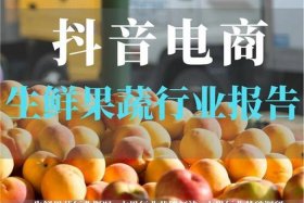 如何做电商平台的蔬菜供应商、如何做电商平台的蔬菜供应商呢