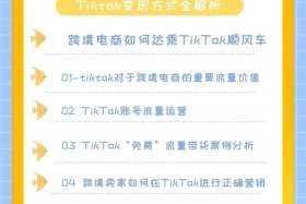 tiktok跨境电商真的赚钱吗最新消息 tiktok跨境电商解决方案