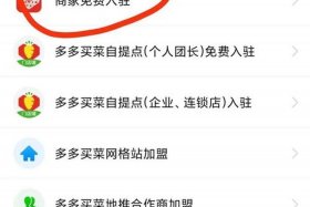 怎么开拼多多网店需要多少钱、我想开个拼多多网店怎么开