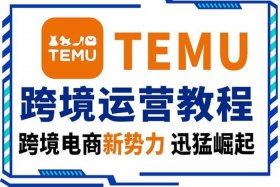 temu网店运营、网店运营这个工作怎么样