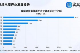 电商运营公司排名深圳；电商运营公司排名深圳有几家