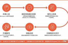 怎么开海外网店（海外开店流程及费用）