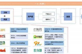 农产品电商现状及前景；农产品电商发展现状总结