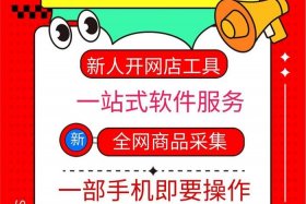 16岁可以开网店的软件有哪些、16岁可以在哪个平台开网店