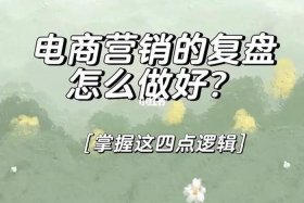 电商怎么做新手入门视频教程全集（电商怎么做的步骤）