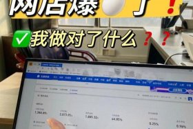 在手机上怎么做电商业务？；怎么用手机做电商赚钱