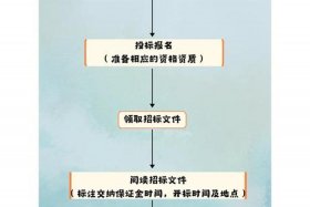 新手怎么开始学写标书；新手如何做标书