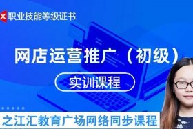 网店运营推广初级实训视频（网店运营推广课程）