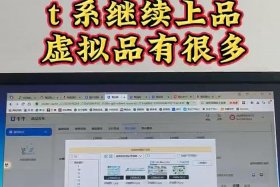 淘宝虚拟店铺选什么类目，淘宝开店虚拟产品类目选什么