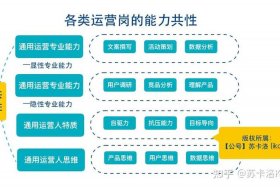 电商运营可以转什么岗位（电商运营能赚钱吗）