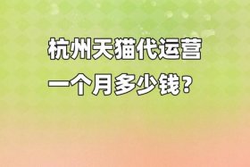 代运营一般多少钱一个月（代运营一般多久能盈利）