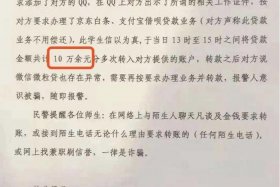 给运营公司骗钱了能要回来吗 - 被运营公司骗了可以报警吗