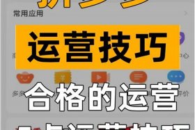 杭州拼多多运营店铺如何推广引流 杭州拼多多运营店铺如何推广引流的