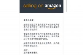 做亚马逊一个月 - 做亚马逊一个月只出了一单
