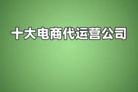 电商运营大公司有哪些 - 电商运营大公司有哪些公司