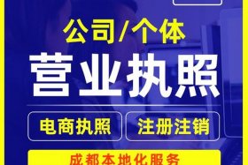 电商运营公司注册 - 电商运营公司注册人