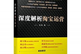 说你对淘宝运营的理解怎么回答（淘宝运营感悟）
