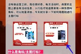 运营助理是坑吗、运营助理干嘛的