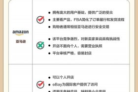 免费跨境电商平台 跨境电商平台哪个最好最可靠