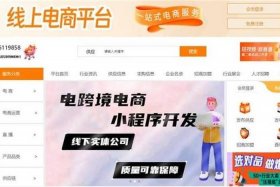 加入电商平台的流程和要求，电商平台怎么加入需要多少钱