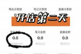 网上怎么开店卖衣服（网上开店卖衣服怎么样）