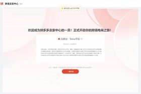 temu跨境电商app安卓版 - target跨境电商