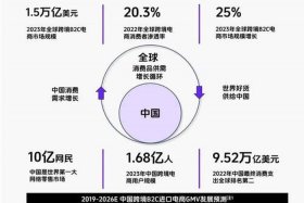 2024海外电商怎么做，做海外电商需要哪些条件