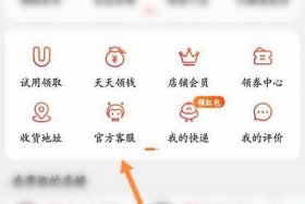 淘宝店铺登录ip在哪里查（淘宝店铺登录ip在哪里查询）