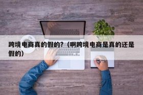 跨境电商真的假的？，跨境电商平台