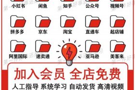 电商运营视频教程全套 电商运营培训课程视频免费