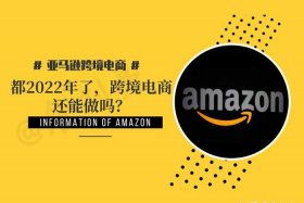 亚马逊跨境电商真的挣钱吗知乎；亚马逊跨境电商能挣到钱吗