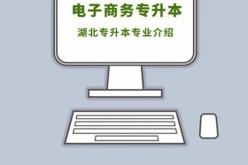 电子商务专业都学什么、电子商务专业都学什么有前途吗