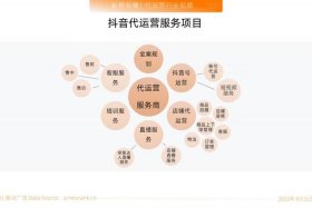 互联网代运营的项目跟投制哪个好 - 互联网代运营是什么