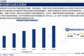 武汉电商代运营公司排名（武汉电商代运营公司排名前十）
