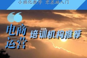 网店运营在哪学（网店运营在哪学比较好）