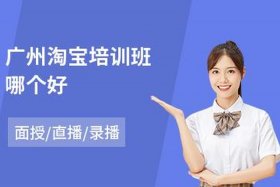 淘宝店铺培训教程 - 做淘宝店铺的培训