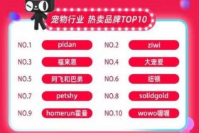 电商最好卖的十大产品品牌排名（电商最好卖的十大产品品牌排名第一）
