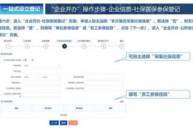 网店营业执照怎么申请需要多少钱 网店营业执照怎么办理？