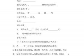 起诉代运营公司诉讼状范本（代运营纠纷）