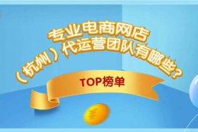 网店运营？（网店运营是做什么的）