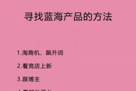 蓝海电商怎么做官方教材（蓝海网店）