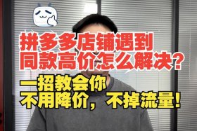 开拼多多店铺要多少钱，拼多多开店流程