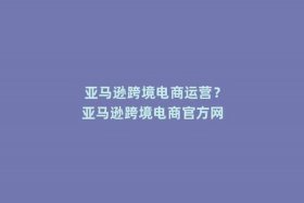 亚马逊跨境电商陷阱，亚马逊跨境电商是怎么回事