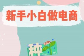 新手小白如何做电商 - 新手小白做电商好做吗