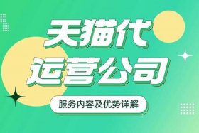 天猫代运营可用火蝠电商 天猫代运营一般怎么收费